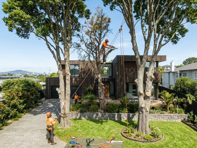 Selective demolition removing part of a structure in Auckland