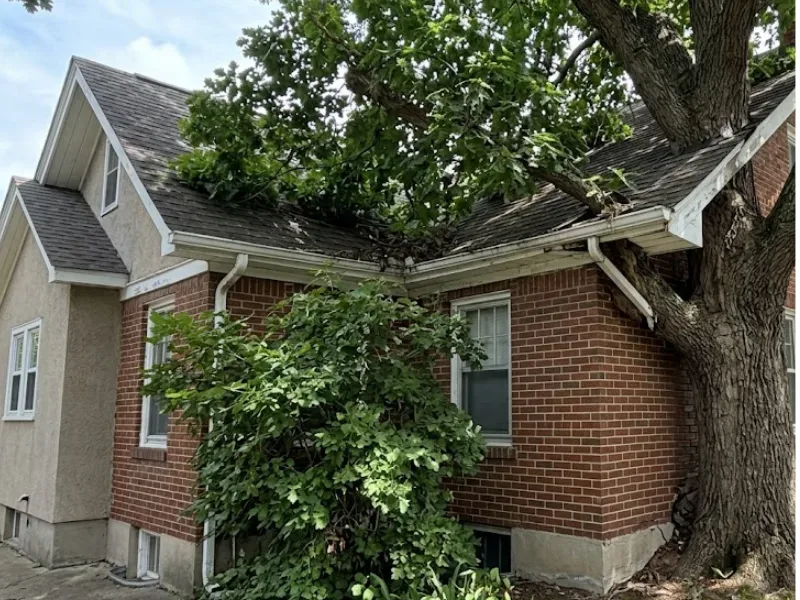 Large tree with heavy branches overhanging the roofline of a house
