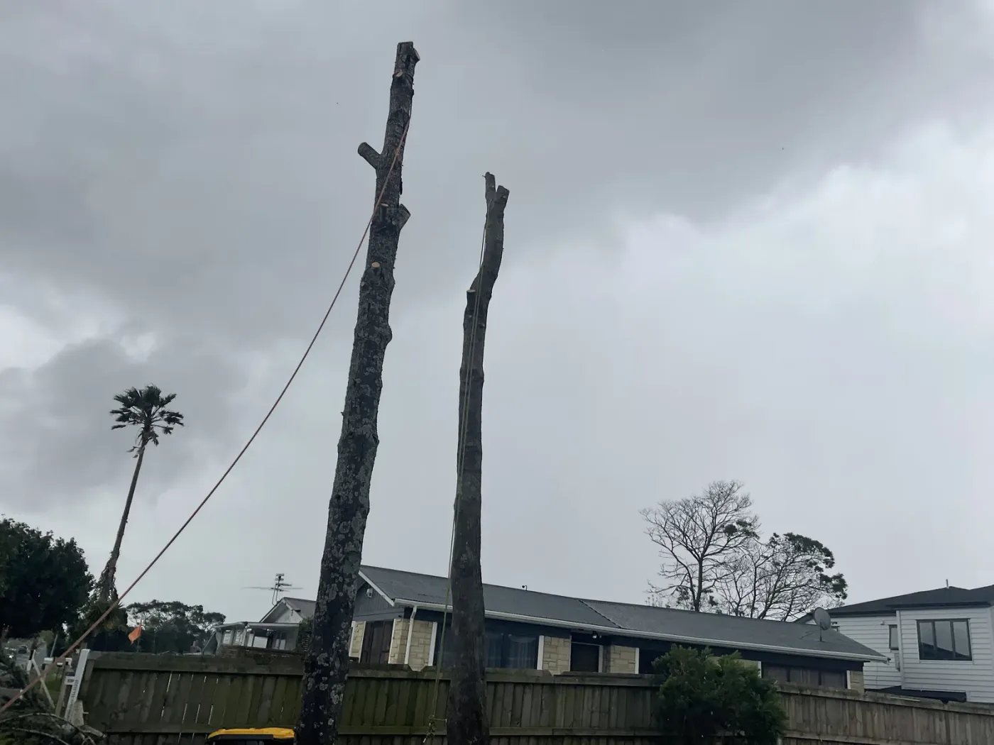 Landscaping work by A One A Tree Care on an Auckland property