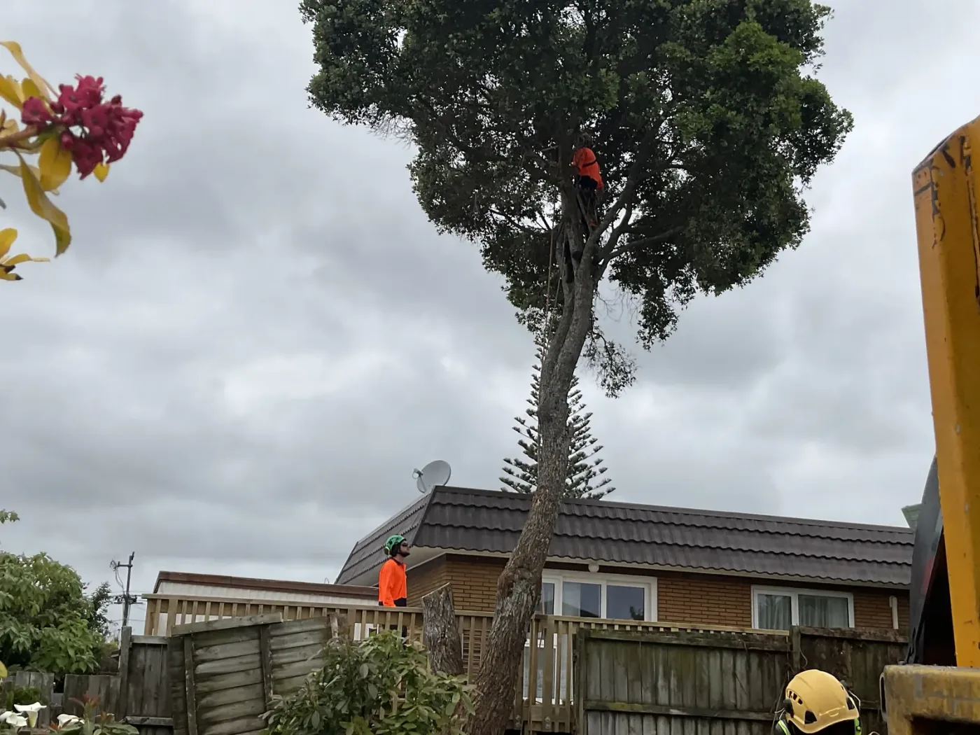Site tidy-up — Beds cleared and edges cut back on a managed property.