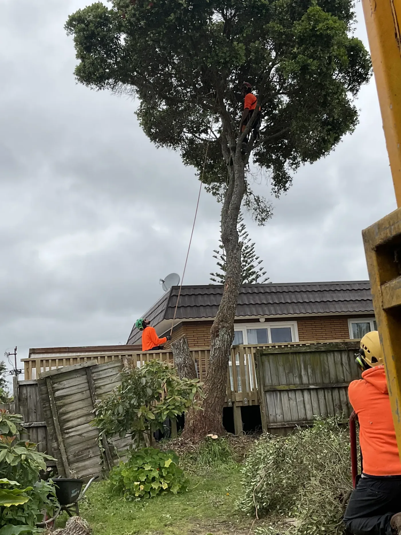 Landscaping work by A One A Tree Care on an Auckland property
