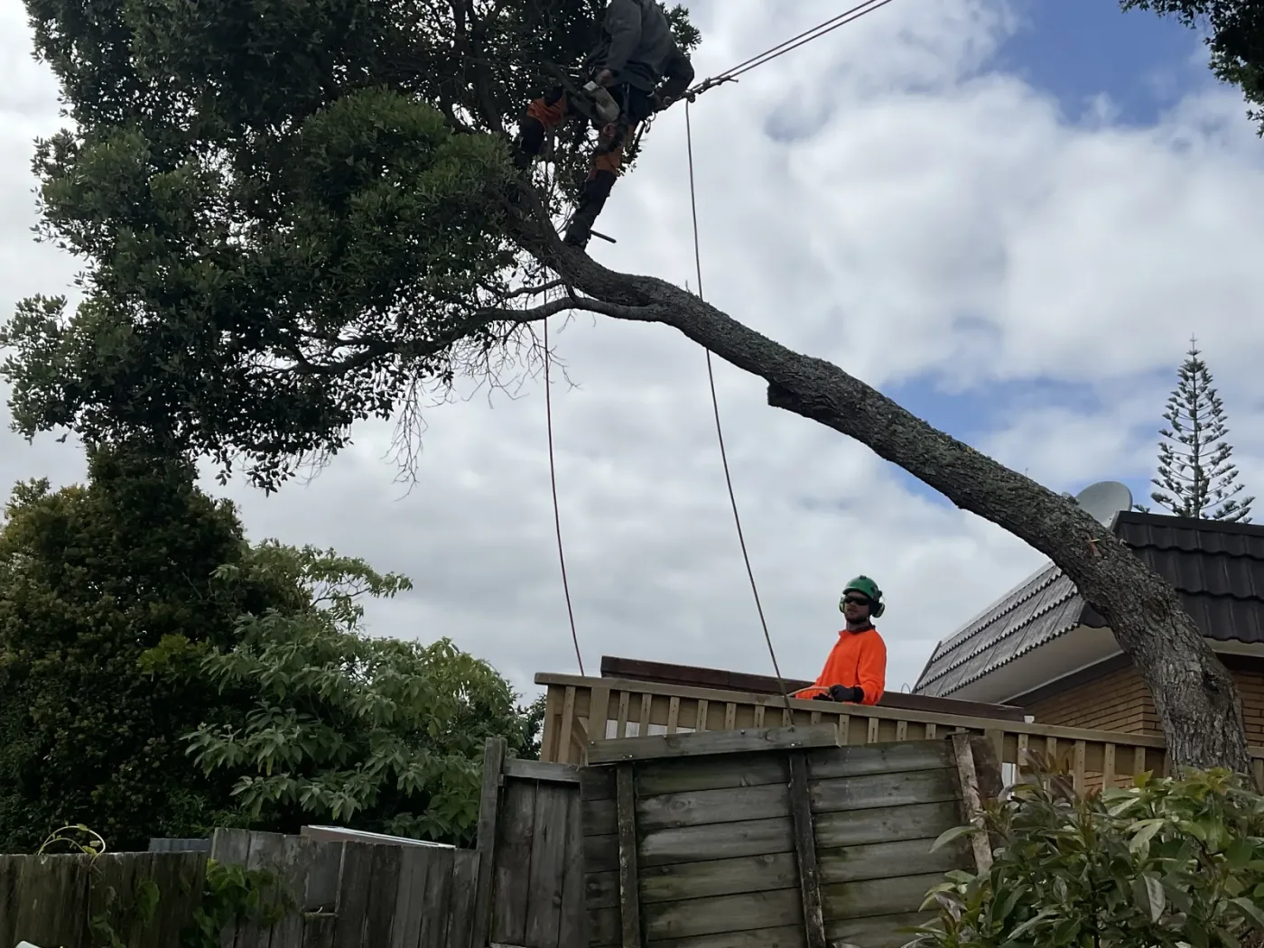 Sports Turf Maintenance Auckland by A One A Tree Care in Auckland