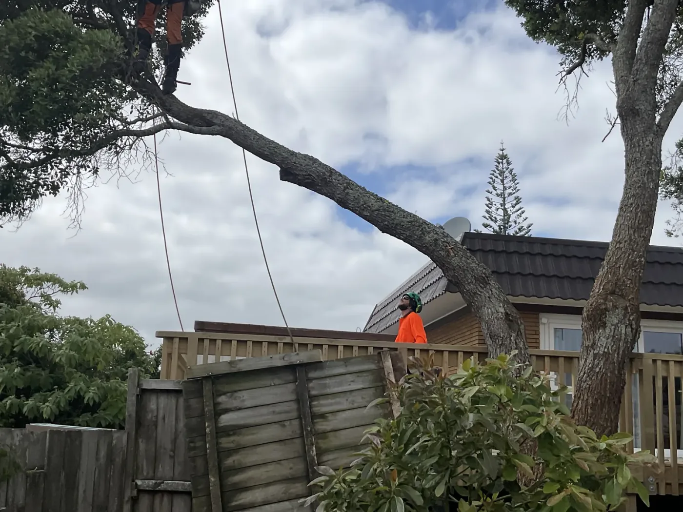 Commercial grounds crew mowing a large open lawn area in Auckland