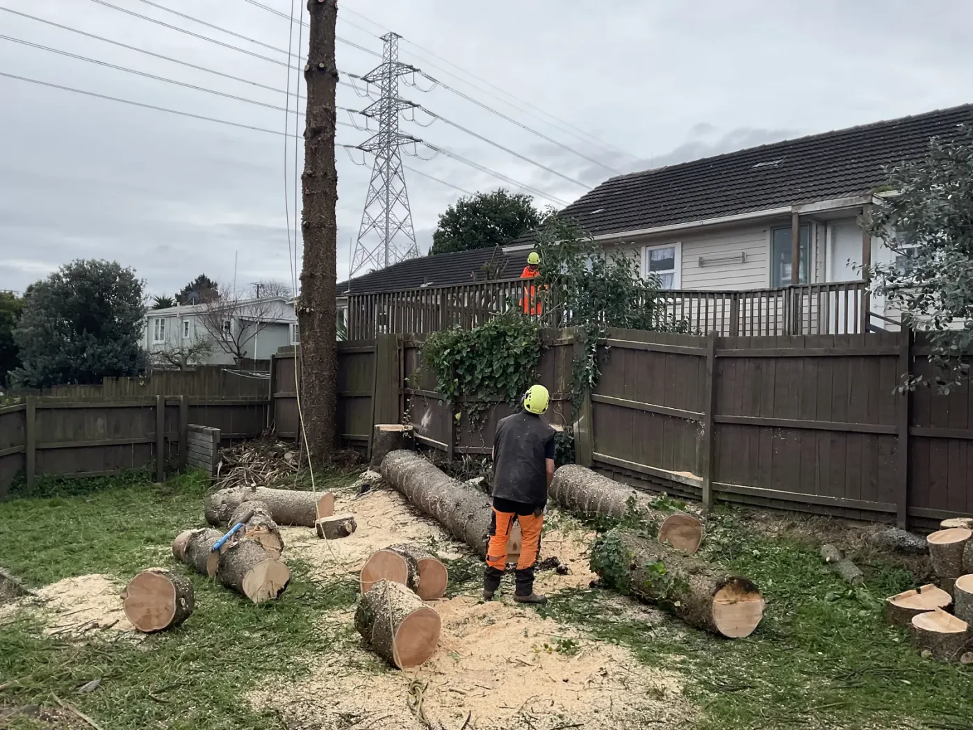 Freshly ground stump with chip raked level, ready for replanting