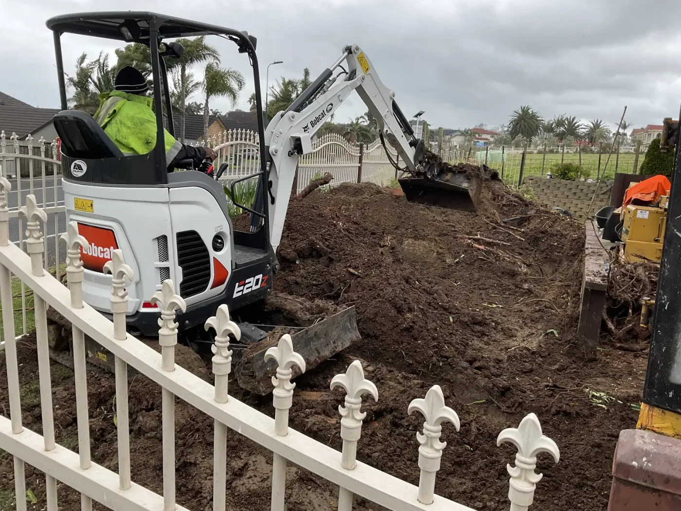Certified arborist crown thinning a mature tree in Auckland
