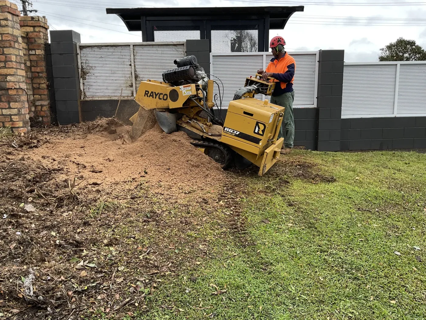 Tree removal on an Auckland property by A One A Tree Care arborists