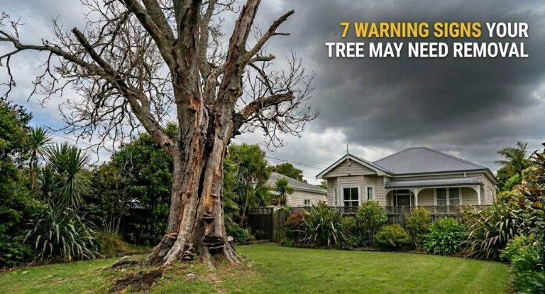 7 warning signs your tree may need removal